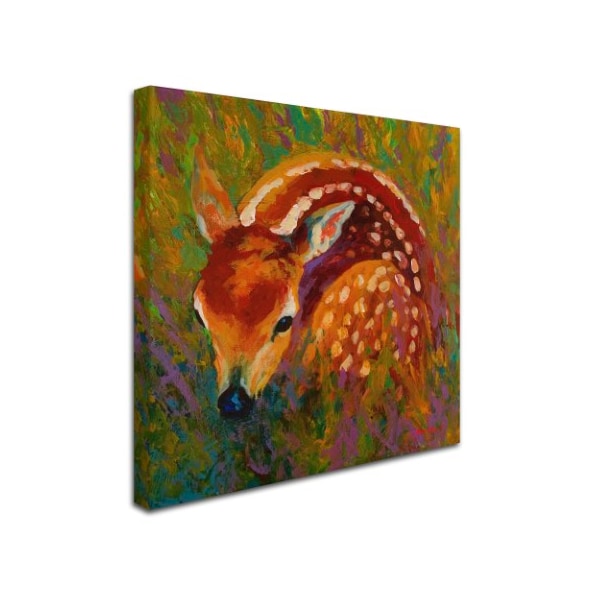 Marion Rose 'New Fawn' Canvas Art,14x14